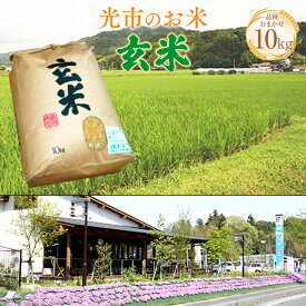 【ふるさと納税】D005 光市のお米（玄米）10kg 光市産 国産 コシヒカリ ヒトメボレ ヒノヒカリ からランダム 品種お任せ 山口県産 お米 ご飯 お弁当 おにぎり 単一原料米