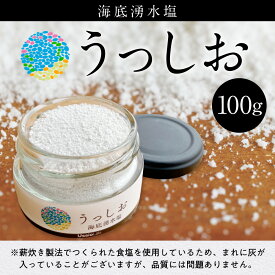 【ふるさと納税】海底湧水塩うっしお 100g 送料無料 塩 YE01