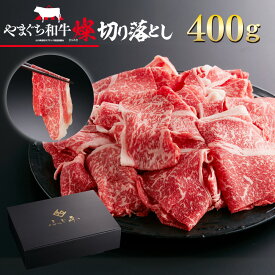 【ふるさと納税】【共通返礼品】YF01 やまぐち和牛燦（きらめき）切り落とし（400g）