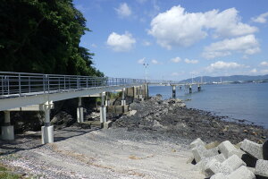 yӂ邳Ɣ[ŁzBP003 tBbVOp[Nl񐔌(11)ӂ邳Ɣ[ŃZbg