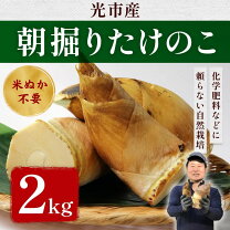 楽天市場】朝掘 たけのこの通販
