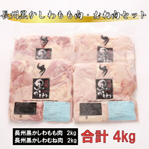 yӂ邳Ɣ[Łz B  ނ˓ Zbg v4kg n{ { s R e (12030)