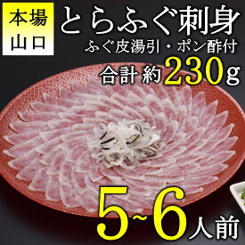 【ふるさと納税】《レビューキャンペーン》とらふぐ 刺身 5-6人前 ふぐ フグ てっさ 限定 高級 魚介 海鮮 ギフト 贈答 人気 冷凍 (10101)