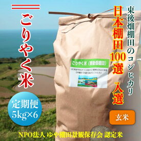 【ふるさと納税】 【定期便】 ※令和6年度産先行予約※ お米 コシヒカリ 玄米 5kg 「ごりやく米」 棚田米 東後畑 毎月年6回(1605)