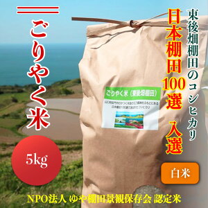 yӂ邳Ɣ[Łzߘa7NxY ₭ 㔨IcЂ  5kg   1ԂÂ Ic s RVqJ Ђ (1149)
