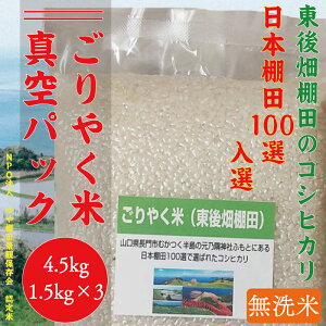 【ふるさと納税】お米 米 こめ 無洗米 無洗米真空パック 白米 こしひかり コシヒカリ ごりやく米 「東後畑棚田こしひかり」 無洗米 4.5kg (無洗米真空パック1.5kg×3個) 小分け 真空 真空パック