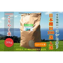 楽天市場】コシヒカリ 30kg 山口県の通販