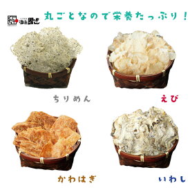 【ふるさと納税】定期便 お魚せんべい かわはぎ いわし えび ちりめん 4種類 1回10袋 合計40個 隔月 全4回 カルシウム 大容量 セット 長門市 (1542)