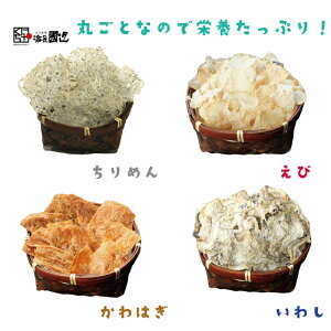 �y�ӂ邳�Ɣ[�Łz����� ��������ׂ� ����͂� ���킵 ���� ����߂� 4��� 1��10�� ���v40�� �u�� �S4�� �J���V�E�� ��e�� �Z�b�g ����s (1542)