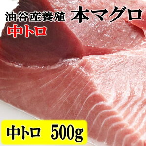 yӂ邳Ɣ[Łz܂ {}O g 500g ({B)   g }O  hg    ܂똥 ܂Ђ CN Ⓚ ^ JY {B{}O R s (1274)