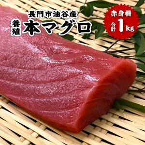 yӂ邳Ɣ[Łz}O {}O ܂  R s JY  {B Ԑg Ԑg 300g`1kg 蔲Q Ƃ낯 Ⓚ  Mtg  (1095)