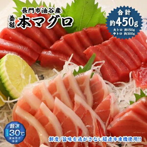 yӂ邳Ɣ[Łz܂ {}O g g Zbg 450g ({B)   g }O  hg    ܂똥 ܂Ђ CN Ⓚ ^ JY {B{}O R 
