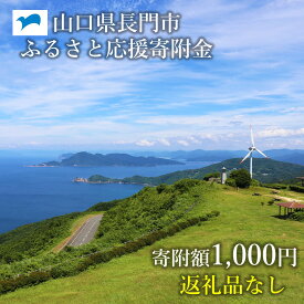 【ふるさと納税】山口県長門市ふるさと応援寄付金1,000円分(返礼品なし)