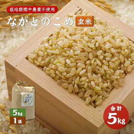 【ふるさと納税】ながとのこめ こしひかり コシヒカリ 5kg玄米 栽培期間中農薬不使用 令和5年度 長門市 (10056)