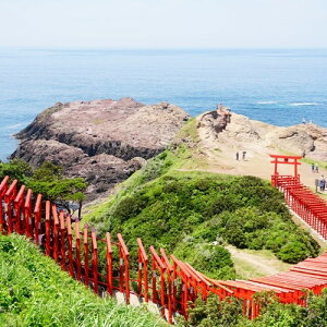 yӂ邳Ɣ[Łz 10JALË_u}\ oꌠ uIcEH[Nv uVOt}\v u_ut}\v (1223)