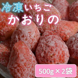 【ふるさと納税】苺 いちご 長門産 冷凍いちご 1kg 500g×2袋「かおりの」フルーツ(1019)