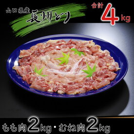 【ふるさと納税】鶏肉 地鶏 もも肉 むね肉 国産 冷凍 たっぷり合計4kg！ 山口県産 長州どり 精肉 セット (1243)