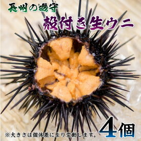 【ふるさと納税】殻付きウニ 4個 生うに 雲丹 長門市 ムラサキウニ (10043)