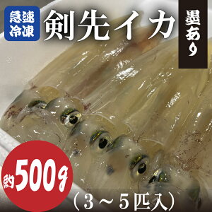 yӂ邳Ɣ[ŁzCJ Ⓚ n }Ⓚ ^pbN 500g 3`5t s (10068)
