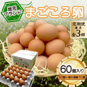 yӂ邳Ɣ[Łzyցzunuhv܂뗑60(50Ɗۏ10)@{(Hp)S3yzsnFzy4070042z