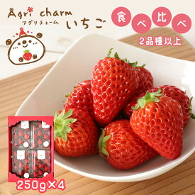 【ふるさと納税】 秋吉台のミネラルたっぷり!! Agri charmの いちご 食べ比べセット ( 2品種 以上× 4パック ) 先行予約 ＜ 2026年2月下旬 ~ 4月下旬頃の期間で順次発送予定＞ ｜ いちご 苺 イチゴ フルーツ 果物 食べ比べ 美祢市 山口県 美祢 秋吉台 糖度 甘い 期間限定