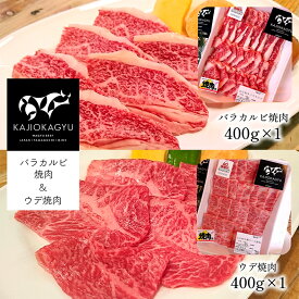 【ふるさと納税】 梶岡牛 バラカルビ焼肉・ウデ焼肉 お取り寄せ グルメ バラ カルビ ウデ 焼肉 セット 詰め合わせ 計800g 冷凍 特産品 山口 美祢