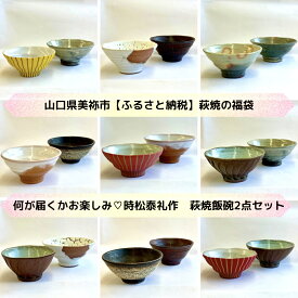 【ふるさと納税】【萩焼福袋】時松泰礼作 萩焼飯碗2点セット ｜ 山口県 山口 返礼品 小鉢 鉢 飯碗 茶碗 おしゃれ 和食器 工芸品 お取り寄せ 取り寄せ お土産 特産品 名産品 土産 名産 工芸 ご当地 民芸品 おしゃれ食器 萩焼 美祢市 美祢 焼物