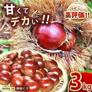 【ふるさと納税】 甘くて デカい ! 厚保くり ( 生栗 ) 3kg 山口美祢産 <2025年10月上旬〜11月中旬 発送予定> 3Lサイズ | 山口 美祢 栗 くり 厚保 大きい 甘い 大玉 特産品 焼き栗 栗ご飯 生栗 期