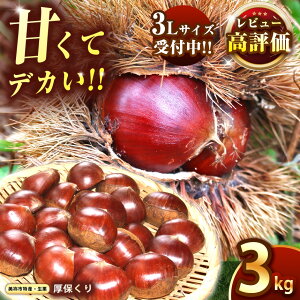 yӂ邳Ɣ[Łz Ԍ I Â fJ ! ۂ ( I ) 3kg 3LTCY RIY 2025N11{ \聄 b R I I   傫 Â  Yi ĂI I I 