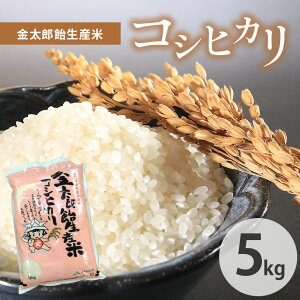 �y�ӂ邳�Ɣ[�Łz �ߘa7�N�Y �� �����Y�����Y�� �R�V�q�J�� 5kg �R�����I�Y �b �ߘa7�N�x �� ���� �R�� ���I�s ���I ���Y�i �R�V�q�J�� ���I�Y �H�g��