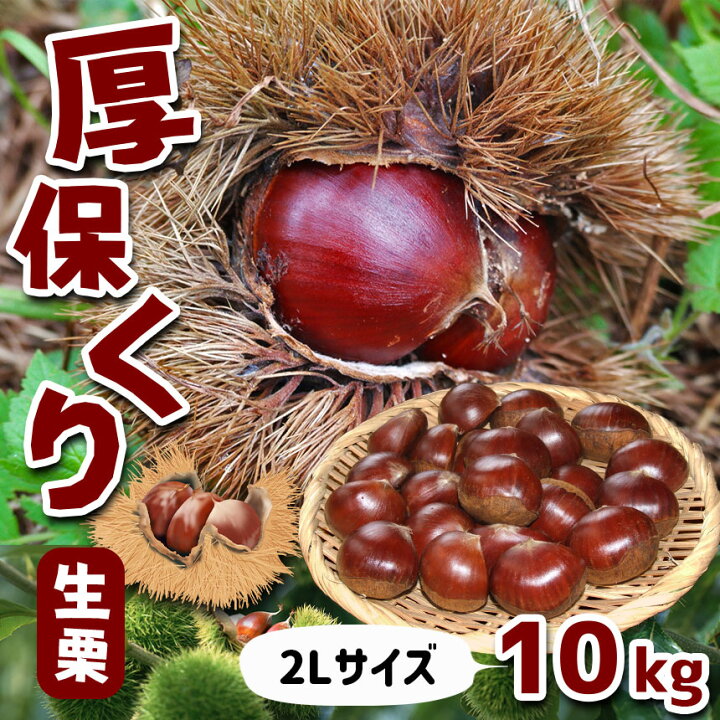 楽天市場】【ふるさと納税】 厚保くり ( 生栗 ) 10kg 山口美祢産  