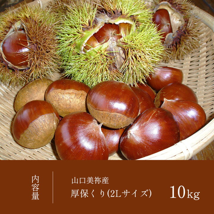 楽天市場】【ふるさと納税】 厚保くり ( 生栗 ) 10kg 山口美祢産  