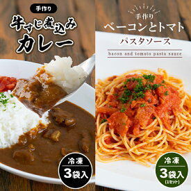 【ふるさと納税】 手作り 牛すじ煮込みカレー＆ベーコンとトマトのパスタソース 【冷凍】 ｜ 煮込み カレー 美祢市産 野菜 牛すじ パスタソース トマトソース 惣菜 セット 詰め合わせ 冷凍 特産品 山口 美祢市 美祢