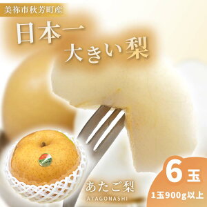 y ӂ邳Ɣ[ zy ʌ z  × 6ʁi 5kg j b   Ȃ t[c ʕ  BIG rbO 傫 Yi Is R I HF HF JXgn s\ 