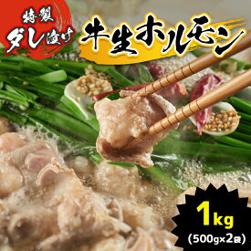 【ふるさと納税】特製ダレ漬け 牛生ホルモン 1kg ｜ ホルモン もつ鍋 鍋 焼肉 バーベキュー モツ ホルモン 焼き 小腸 特製ダレ 味付き 名物 ソウルフード 美祢市 山口県