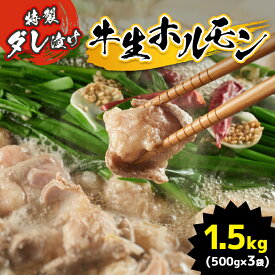 【ふるさと納税】特製ダレ漬け 牛生ホルモン 1.5kg ｜ ホルモン もつ鍋 鍋 焼肉 バーベキュー モツ ホルモン 焼き 小腸 特製ダレ 味付き 名物 ソウルフード 美祢市 山口県