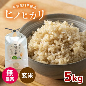 【ふるさと納税】 無農薬 ・ 化学肥料不使用 ヒノヒカリ(玄米) 5kg ｜ 有機農産物認証推進協会認定 玄米 お米 米 ひのひかり こだわり 美祢市 山口県 秋芳 カルスト台地 湧き水 ミネラル 結び家 くらとも