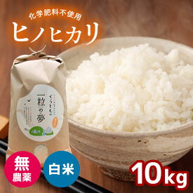 【ふるさと納税】 無農薬 ・ 化学肥料不使用 ヒノヒカリ 10kg ｜ 有機農産物認証推進協会認定 精米 お米 米 ひのひかり こだわり 美祢市 山口県 秋芳 カルスト台地 湧き水 ミネラル 結び家 くらとも