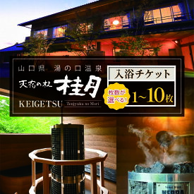【ふるさと納税】 天宿の杜 桂月 入浴チケット 1枚 ～ 10枚 ｜ サウナ 入浴 チケット 旅館 湯の口 温泉 部屋風呂 露天風呂 サウナ ロウリュウ 静養 美祢市 山口県 美祢 名湯 旅行