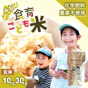 yӂ邳Ɣ[Łzߘa7NY V ݂ːH炱ǂ  10kg 30kg s\ 9{ȍ~ \聄 | R R I yVӂ邳 ӂ邳 [ xi ԗi x ԗ  Y  H
