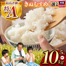 【ふるさと納税】 米 令和7年度産 きぬむすめ ( 白米 5kg ～ 10kg ) ＜ 2025年12月中旬～2026年01月中旬より順次発送予定 ＞ ｜ 米 精米 白米 お米 コメ 単一米 きぬむすめ 選べる発送月 選べる 山口 美祢 5kg 10kg とよたファーム