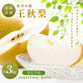 【ふるさと納税】 美祢市産 王秋梨 約 3kg 先行予約 〈2026年 11月中旬頃 〜 11月末発送予定〉｜ 王秋梨 なし 梨 フルーツ 特産品 美祢市 美祢 山口県 山口 秋芳町 秋芳 秋芳の梨 カルスト台地 先行予約