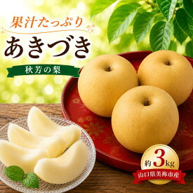 【ふるさと納税】 美祢市産 あきづき（ 約3kg ） 先行予約 〈 2026年9月下旬頃 〜 10月中旬発送予定 〉｜ あきづき なし 梨 フルーツ 特産品 美祢市 美祢 山口県 山口 秋芳町 秋芳 秋芳の梨 カルスト台地 先行予約