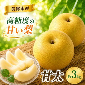 【ふるさと納税】 美祢市産 甘太（かんた） 約 3kg 先行予約 〈2026年 9月末 〜 10月上旬 発送予定〉｜ 甘太 なし 梨 フルーツ 特産品 美祢市 美祢 山口県 山口 秋芳町 秋芳 秋芳の梨 カルスト台地 先行予約
