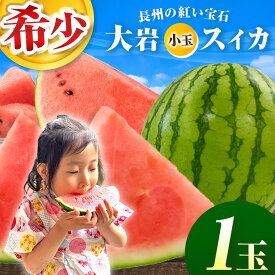 【ふるさと納税】甘くて 果肉 たっぷり！ 大岩 こだま スイカ 1玉 「 神秘の里 大岩郷 よりお届け 長州の紅い宝石 」 先行予約 ＜ 2026年 7月下旬 〜 8月頃 発送予定 ＞ | スイカ 小玉 小玉スイカ ブランド フルーツ 夏 果物 果実 山口 美祢 期間限定