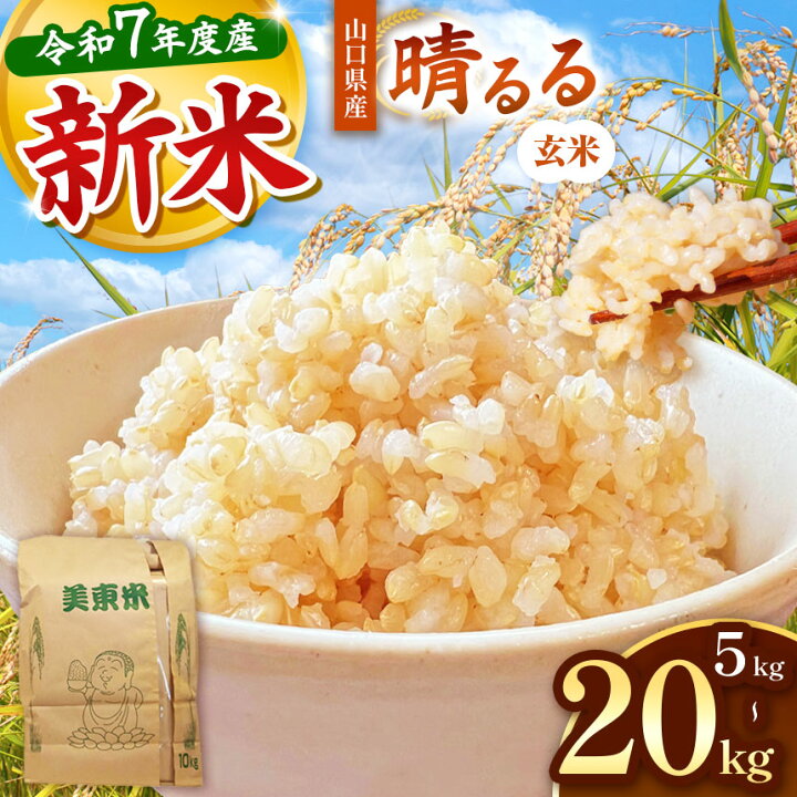楽天市場】【ふるさと納税】 米 令和7年度産 新米 晴るる ( 玄米 5kg 