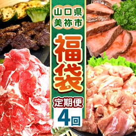 【ふるさと納税】 【 定期便 】美祢市の旬 ・ お得な福袋（ 全4回 ） ｜ 数量限定 お肉 肉 牛肉 切り落とし 牛 にく 国産 国産牛 鹿肉 ステーキ ジビエ もみじ 長州 鶏 鶏肉 もも とり 切り身 ロースト ビーフ 山口 県 美祢市 秋吉台 高原 ふるさと 納税 定期便