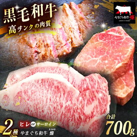 【ふるさと納税】数量限定！選べる 極上ステーキ やまぐち和牛 燦 (きらめき) ヒレ 300g / サーロイン 400g ｜ 山口 県 美祢市 牛肉 ブランド牛 黒毛和牛 ヒレステーキ サーロインステーキ サーロイン ヒレ 牛 肉 お肉 にく