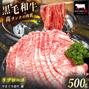 【ふるさと納税】数量限定!選べる 極上牛肉 やまぐち和牛 燦 (きらめき) リブロース 500g | 山口 県 美祢市 牛肉 ブランド牛 黒毛和牛 リブ ロース リブロース 牛 肉 お肉 にく