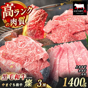 yӂ邳Ɣ[Łz ʌIIׂ ɏ㋍ ܂a W ( ߂ ) Jr 400g / Jr 500g /  500g b R  Is  uh јa Jr Jr    